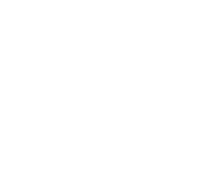 Slokker Homes Logo